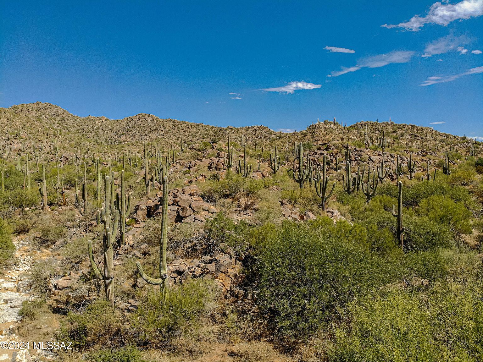 1173 W Tortolita Mountain Cir #182 Tucson, AZ 85755 - Thumbnail 4