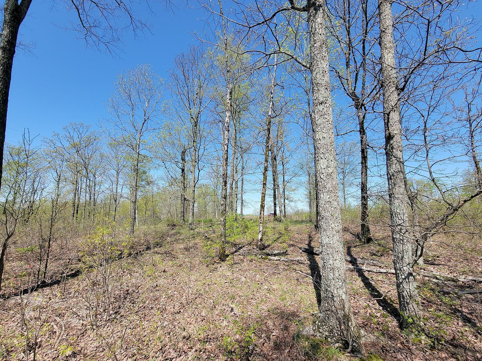 1025 Vista Ridge Dr Stewart, TN 37175 - Thumbnail 4