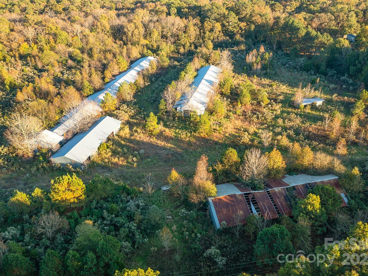 7323 Old Goldmine Rd Peachland, NC 28133 - Thumbnail 4