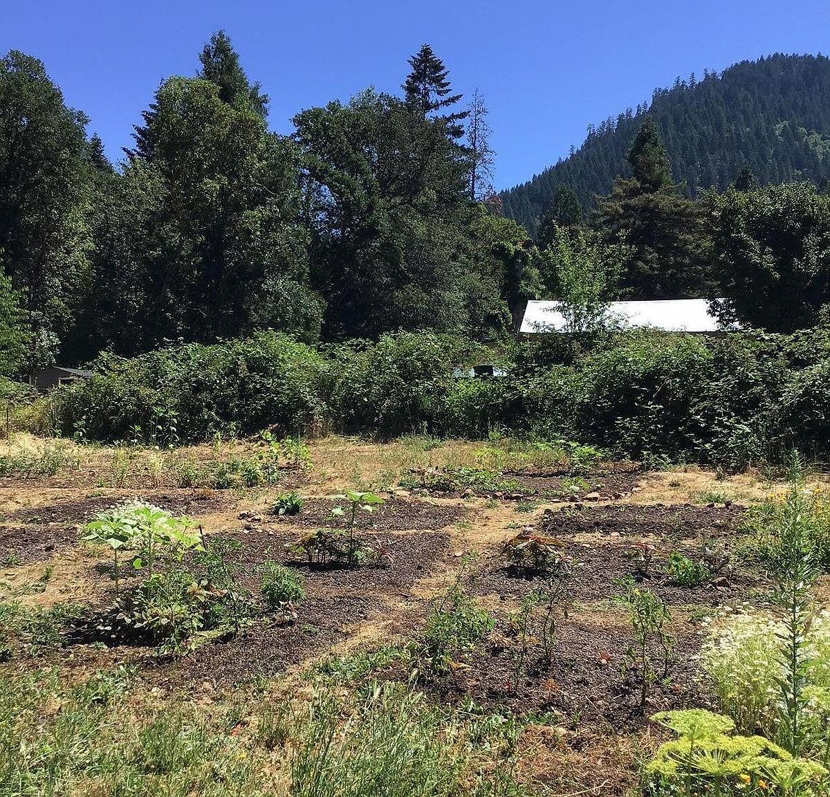 200 Humphrey Addition Rd Glendale, OR 97442 - Thumbnail 4