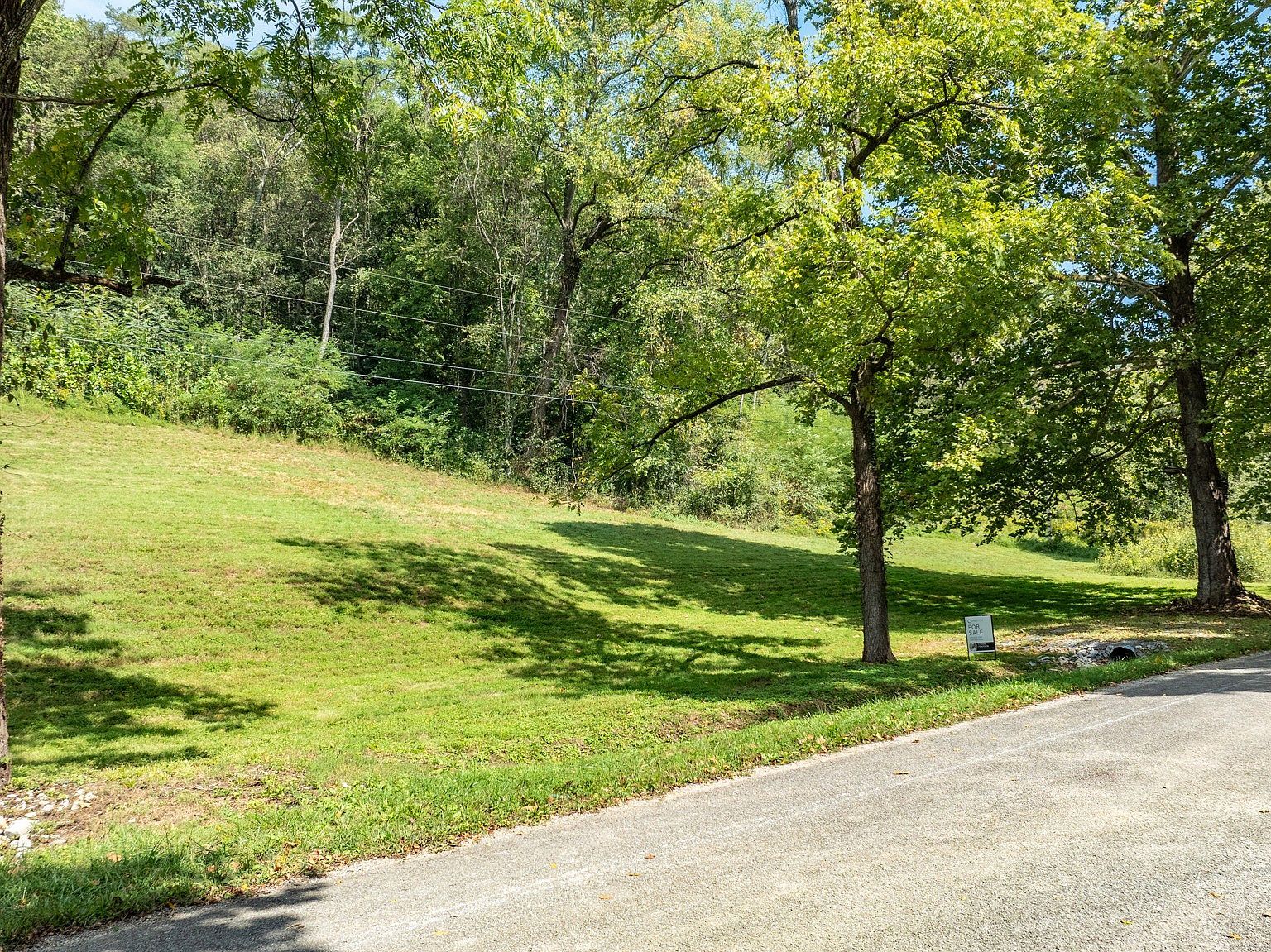 0 Roy Dodson Rd #22 Columbia, TN 38401 - Thumbnail 4