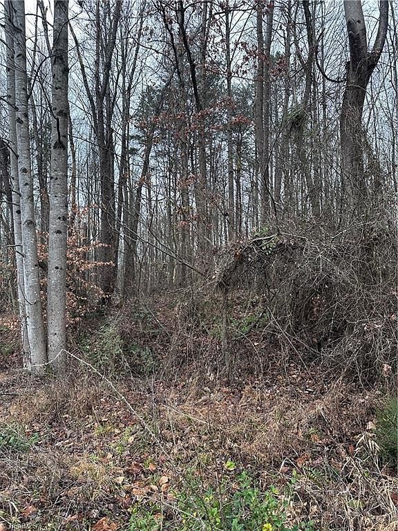 1122 S State St Yadkinville, NC 27055 - Thumbnail 4