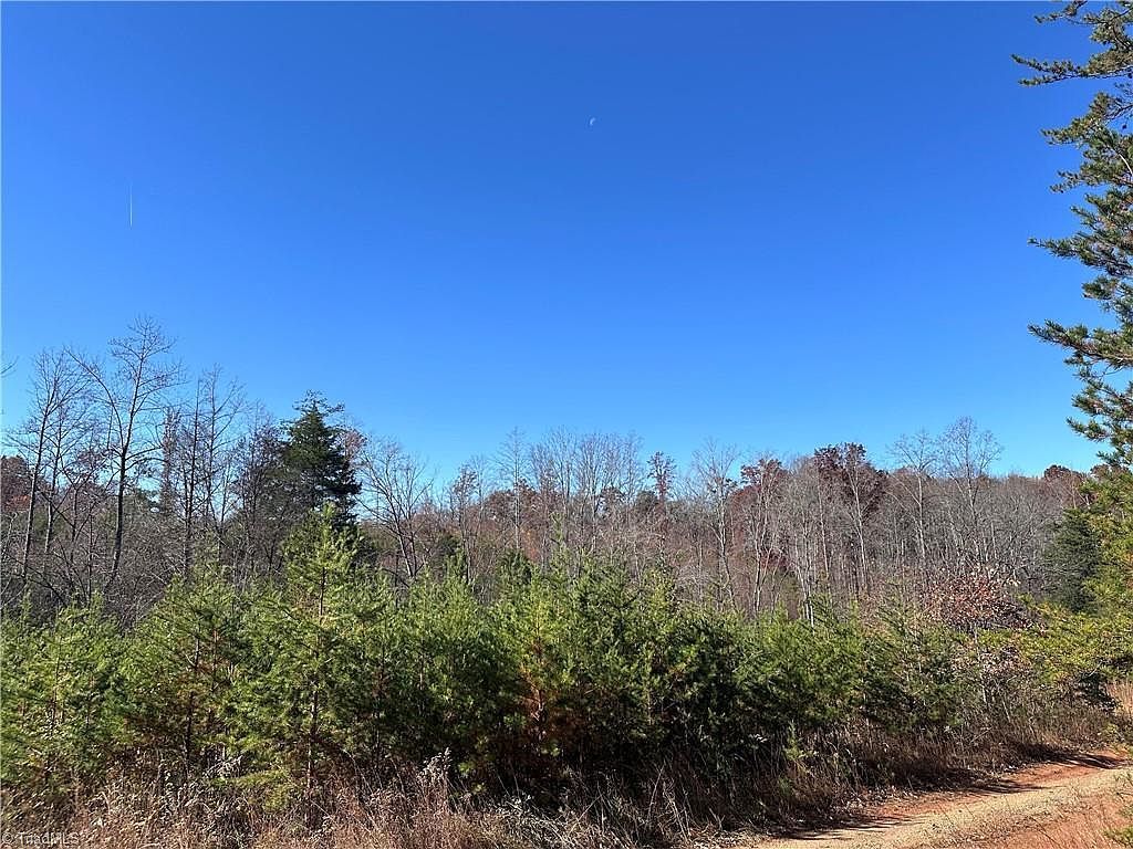 5 Stephens Trail Rd #5 Sandy Ridge, NC 27046 | Land/Lot