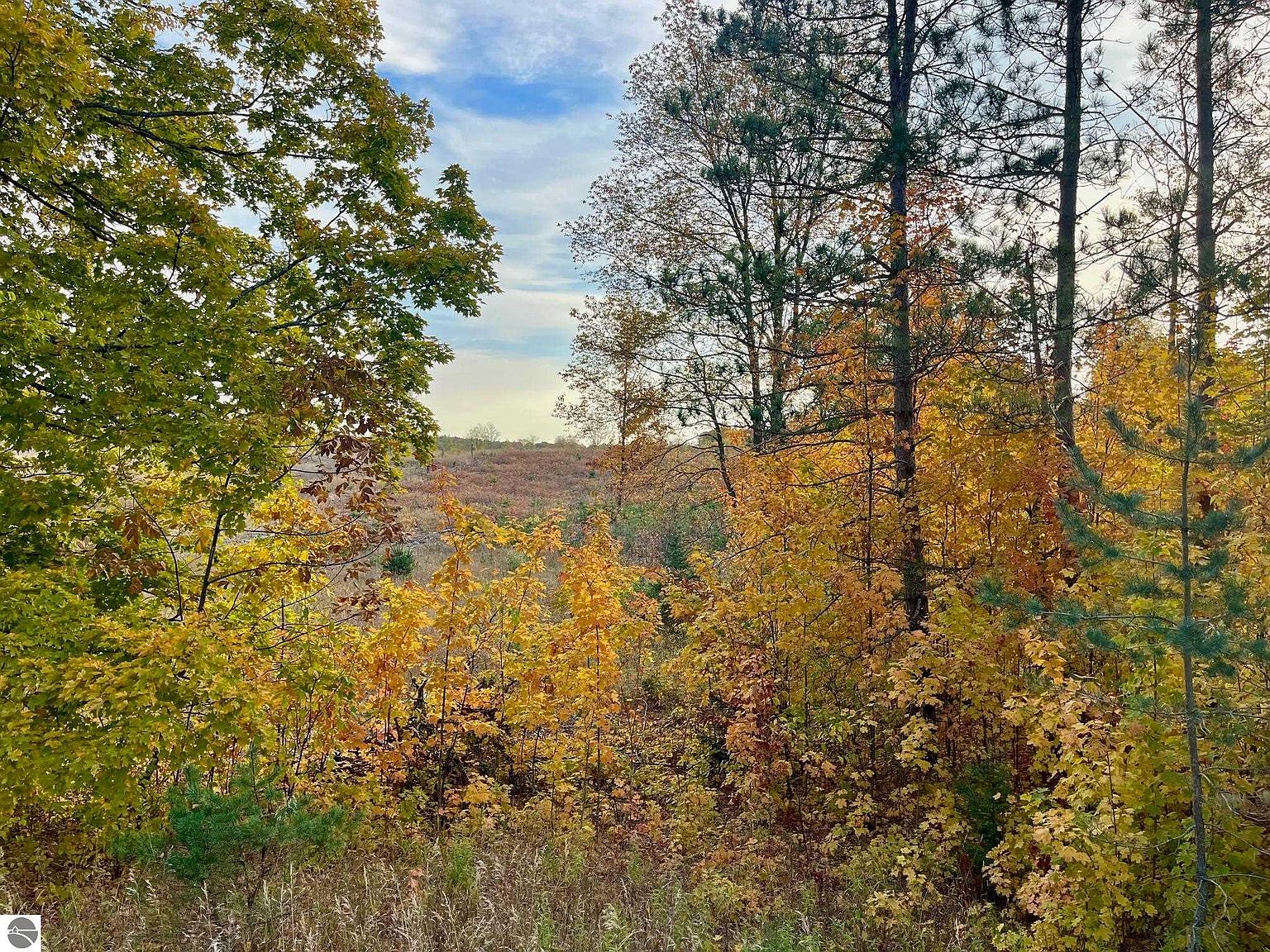 PARCEL A6 S Bright Rd, Maple City, MI, 49664 - Thumbnail 4