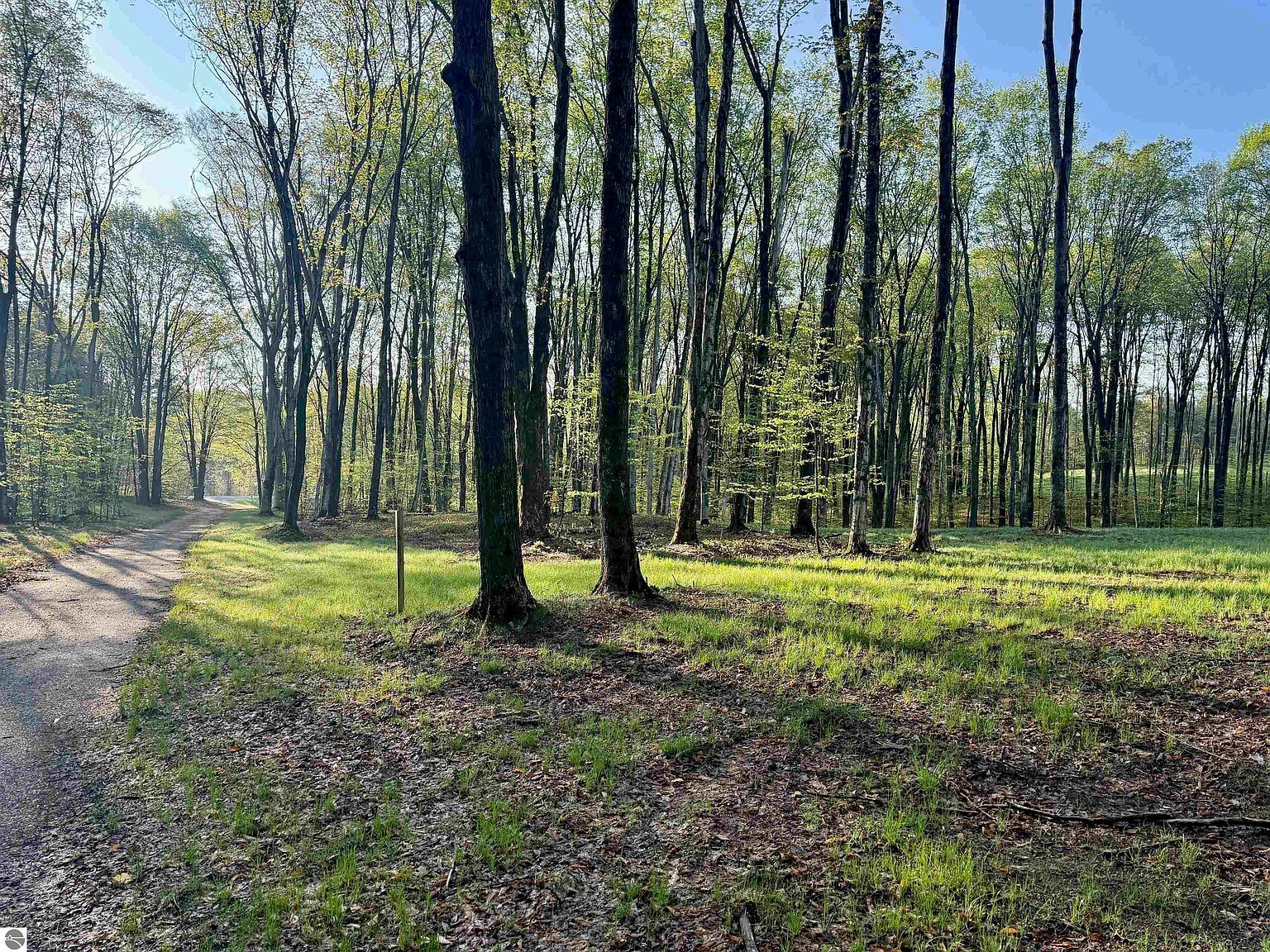 2 S Bright Rd, Maple City, MI, 49664 - Thumbnail 4