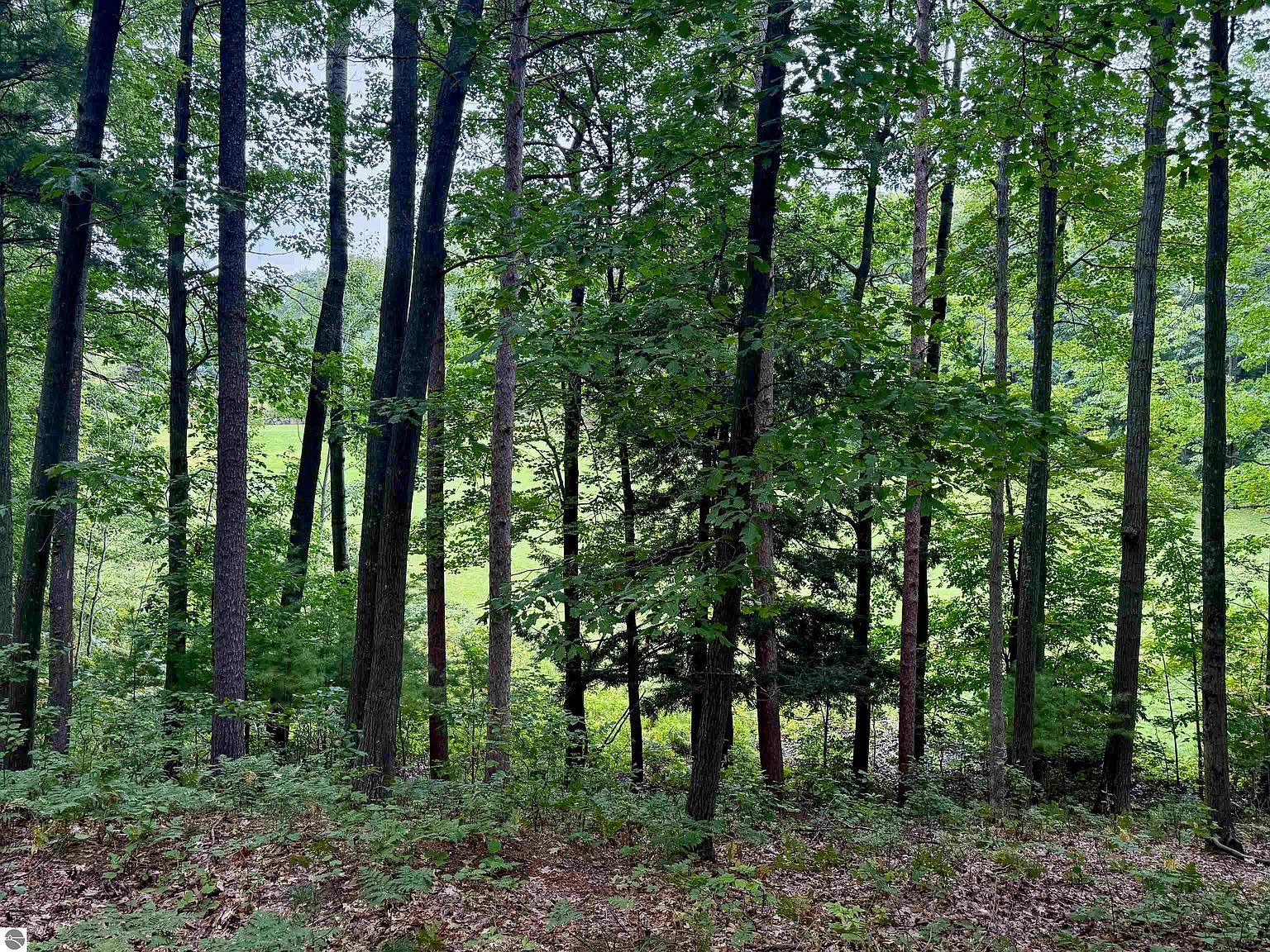 35 Brook Hill Cottages #35 Glen Arbor, MI 49636 - Thumbnail 4