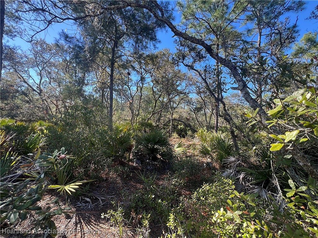 646 Jonathan St Lake Placid, FL 33852 - Thumbnail 4