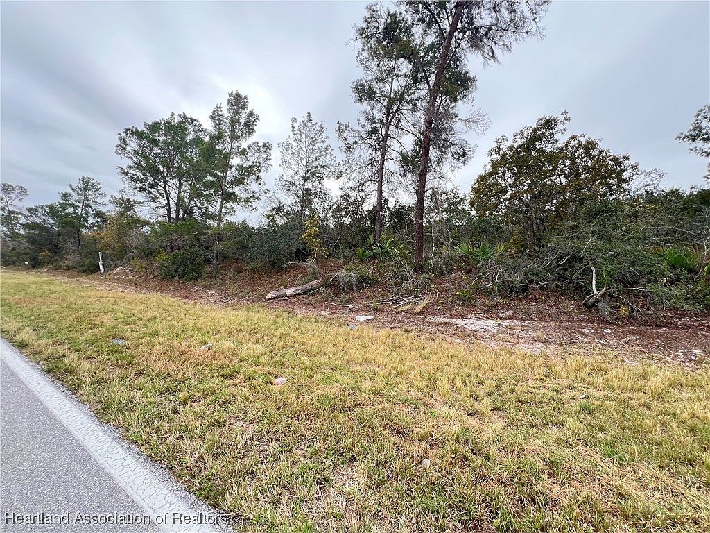 971 County Road 29 Lake Placid, FL 33852 - Thumbnail 4