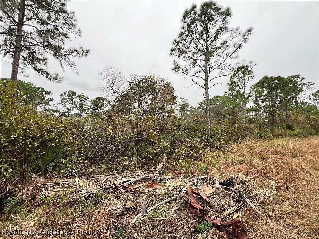 345 Moon River Ave Lake Placid, FL 33852 - Thumbnail 4