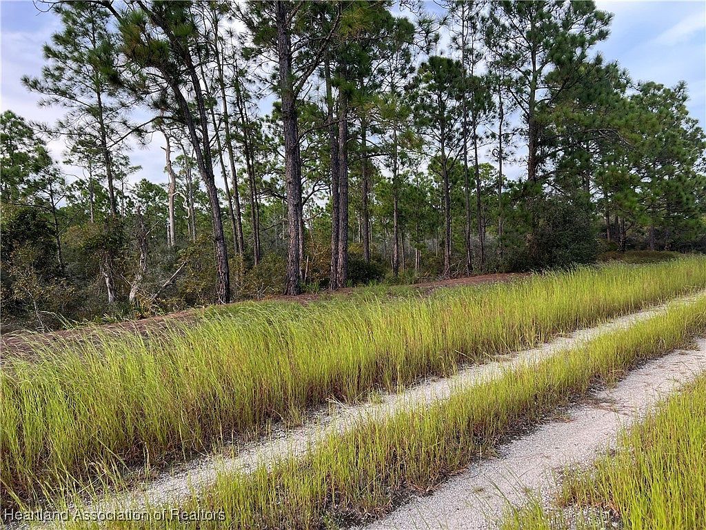 382 Showboat Ave Lake Placid, FL 33852 - Thumbnail 4