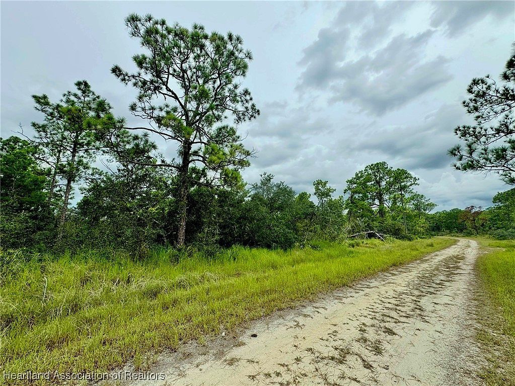 825 Neale St Lake Placid, FL 33852 - Thumbnail 4