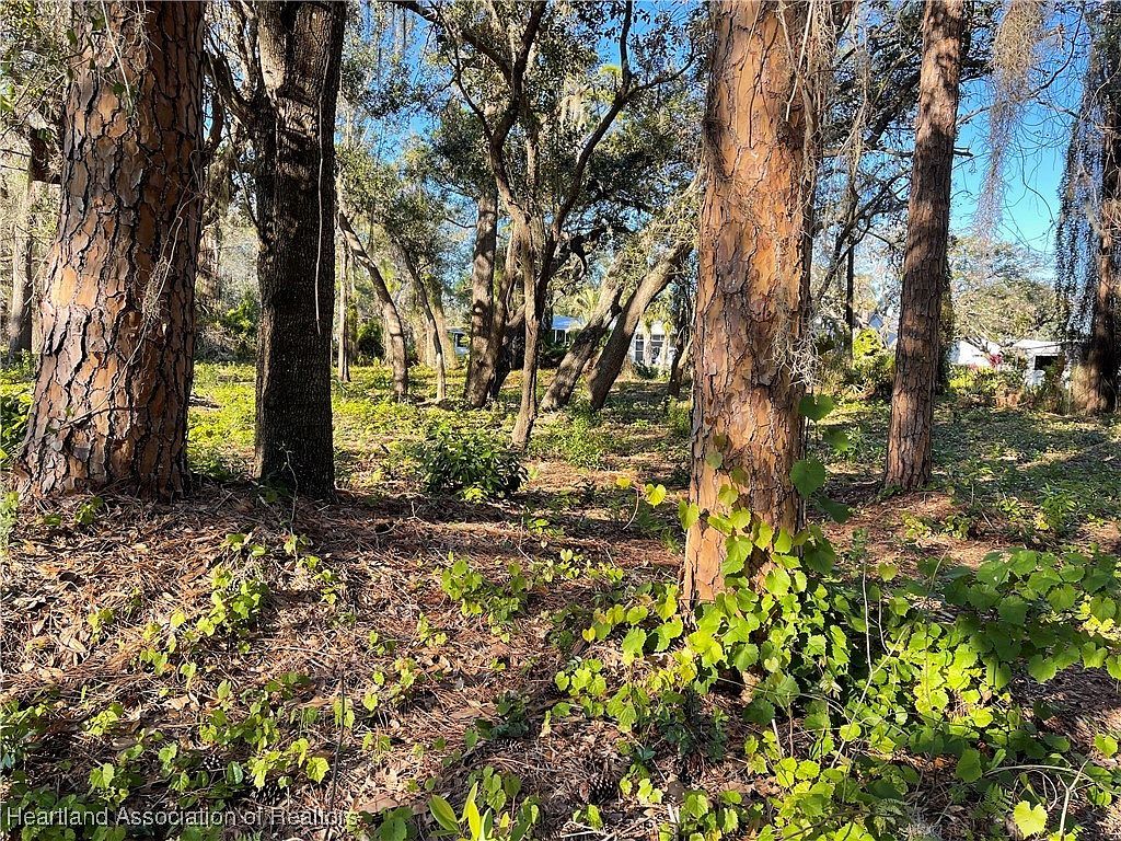 1143 Peachtree Dr Lake Placid, FL 33852 - Thumbnail 4