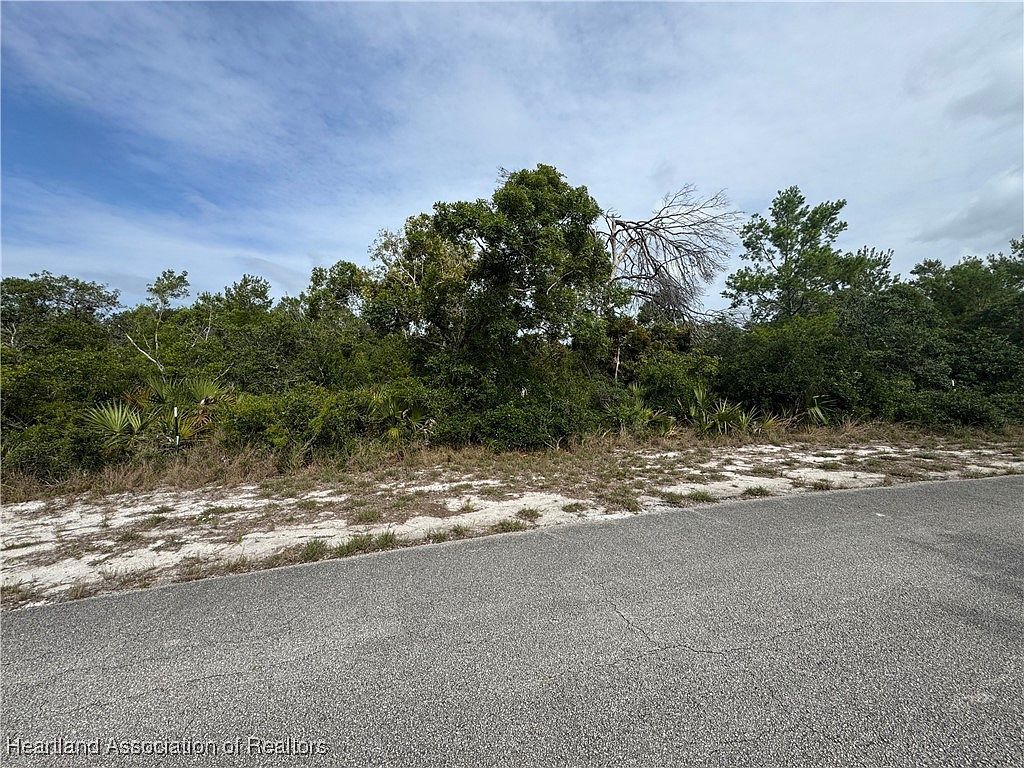 439 Hoover Ave NE Lake Placid, FL 33852 - Thumbnail 4