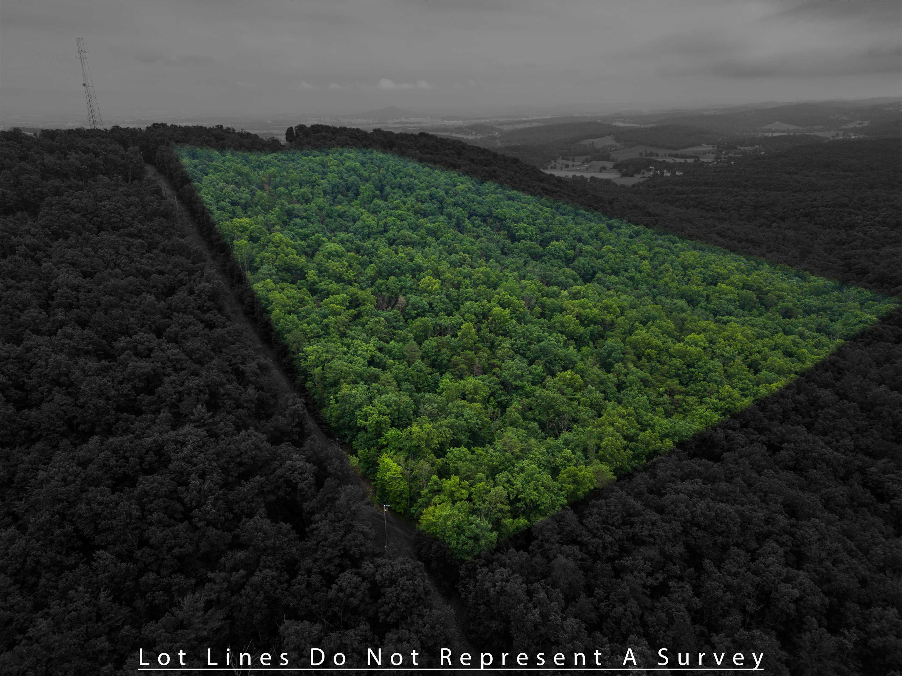 0 Tower Mountain Lane, Mount Jackson, VA, 22842 | Land/Lot