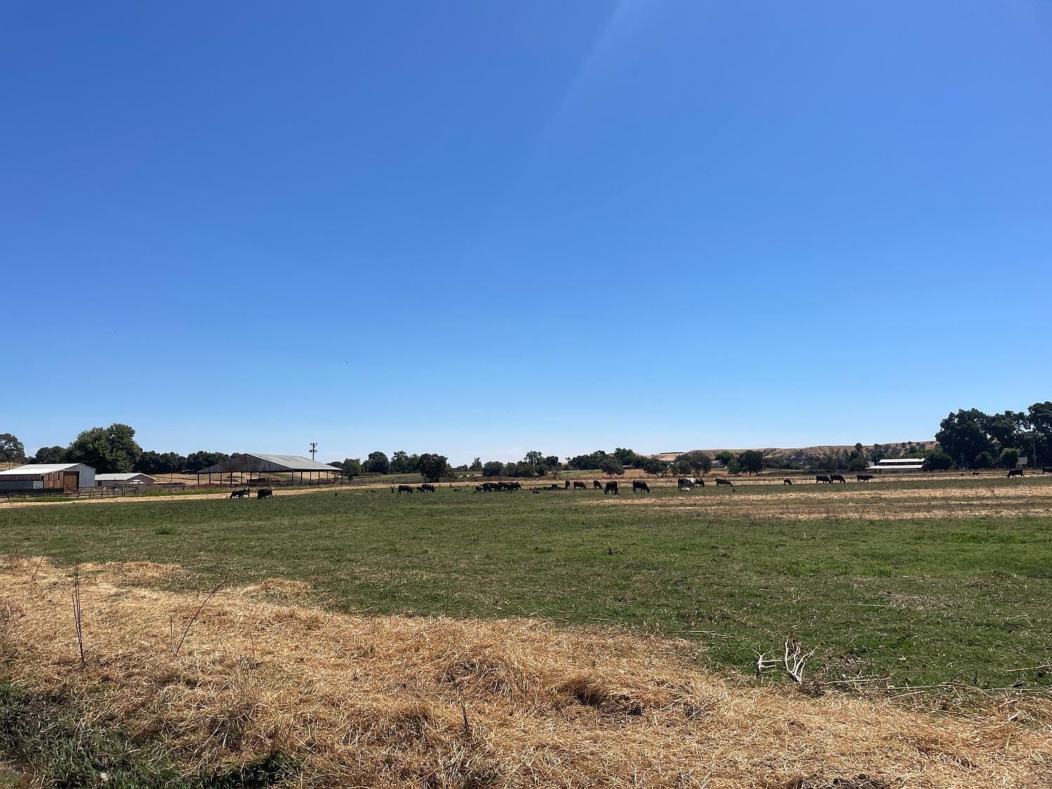 Morrison Rd Oakdale, CA 95361 - Thumbnail 4