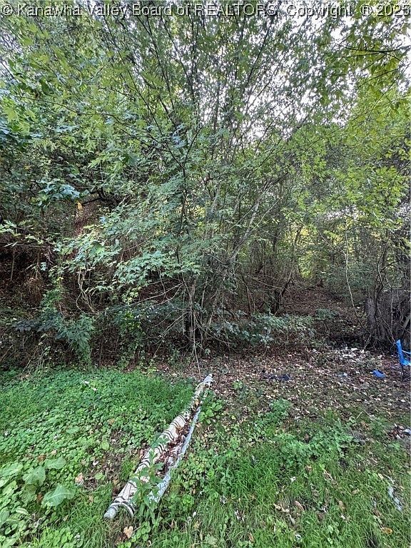 53 Cemetery Ln Mount Carbon, WV 25139 - Thumbnail 4