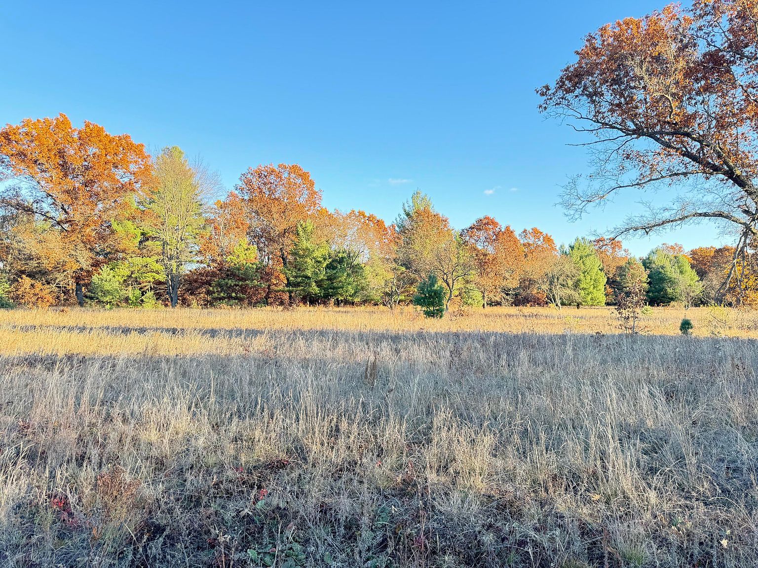 1001AC Barberry Ave Newaygo, MI 49337 - Thumbnail 4