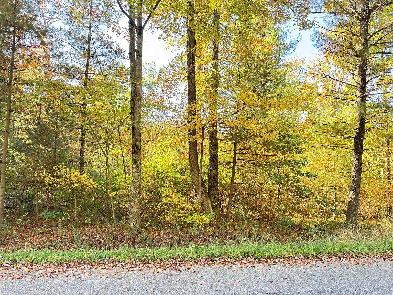 0 E Tyler Rd Twin Lake, MI 49457 - Thumbnail 4