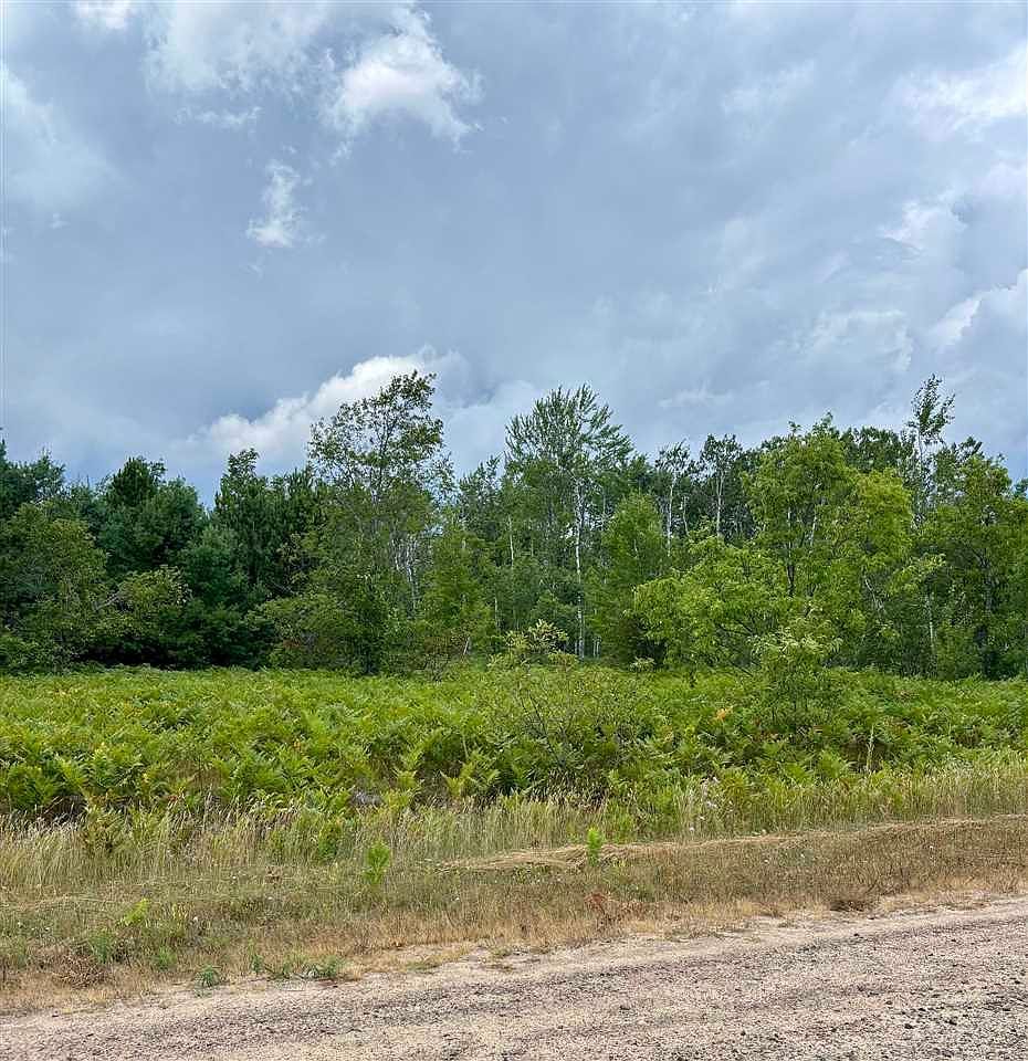 Clarmont Dr Lot 869 Mancelona, MI 49659 - Thumbnail 4