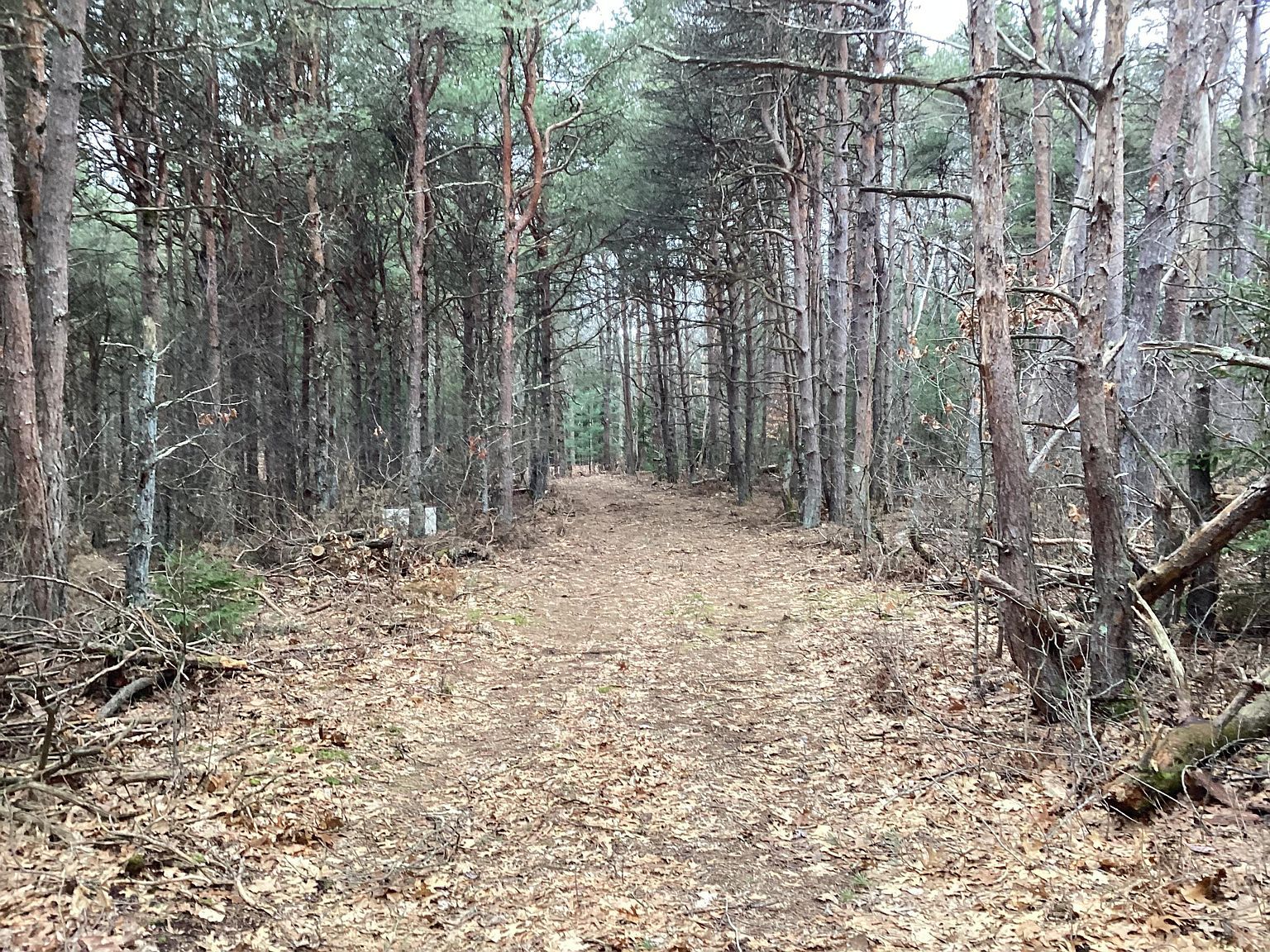 2510 W Winston Rd Rothbury, MI 49452 - Thumbnail 4