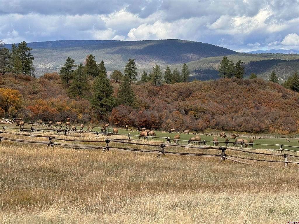 386 Linda Vis Pagosa Springs, CO 81147 - Thumbnail 4