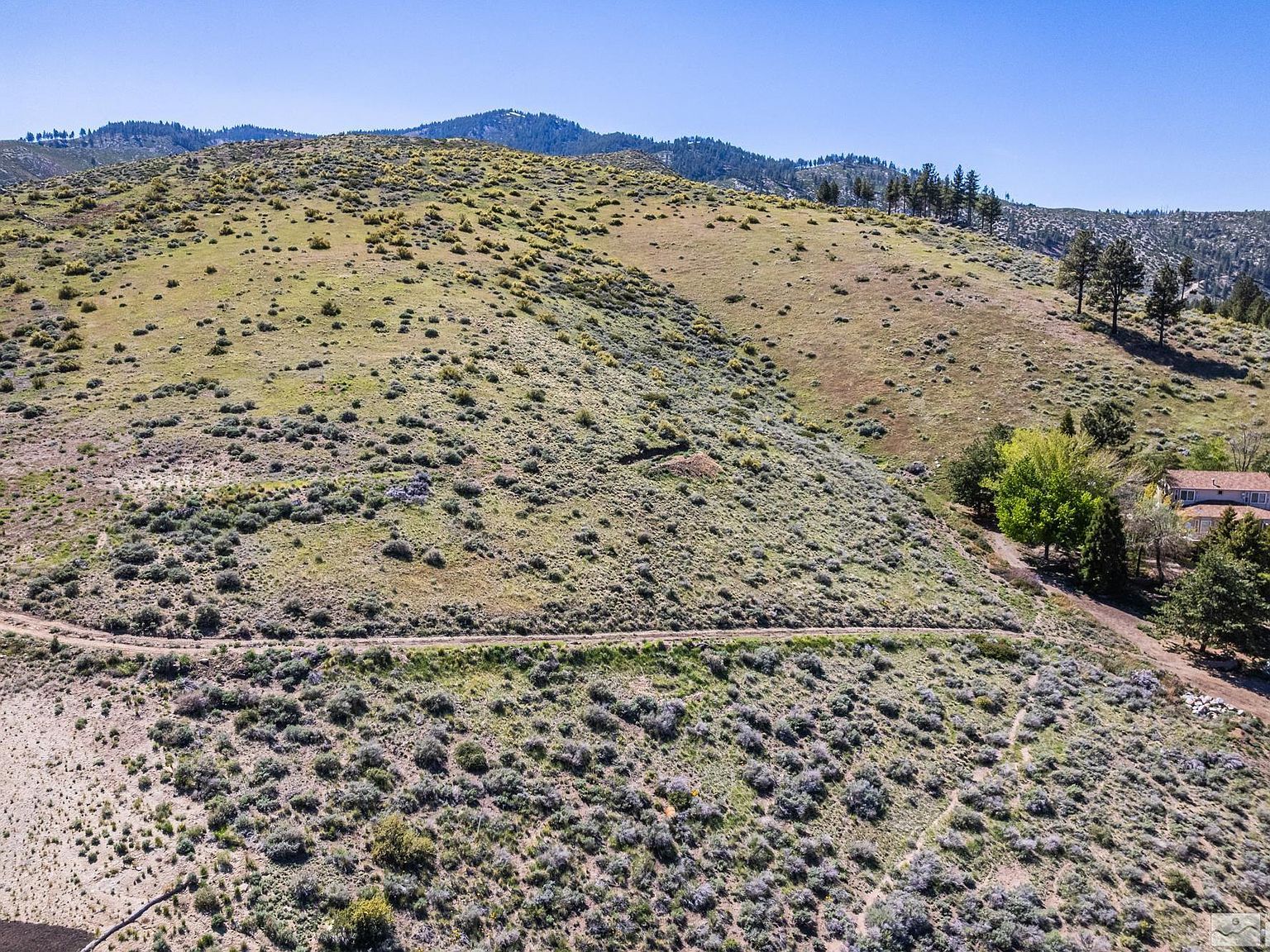 4056 Via Grant Dr Carson City, NV 89703 - Thumbnail 4