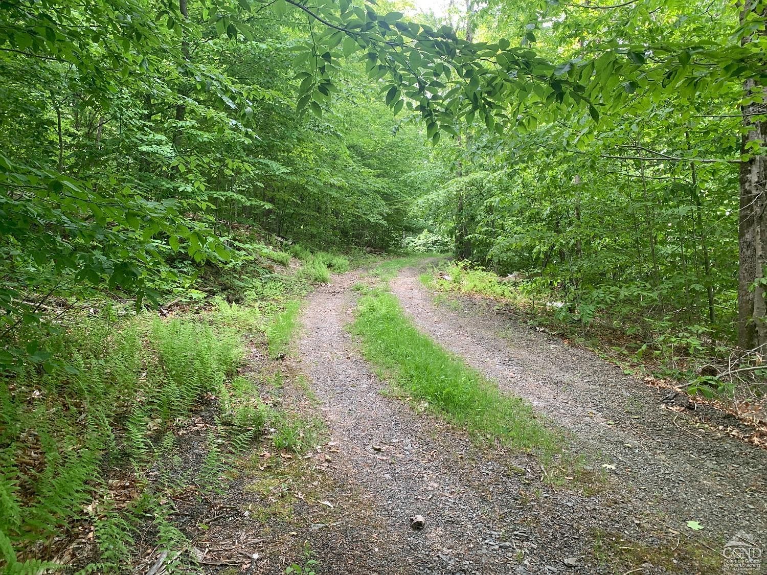 189 Covenant Cir East Nassau, NY 12062 - Thumbnail 4