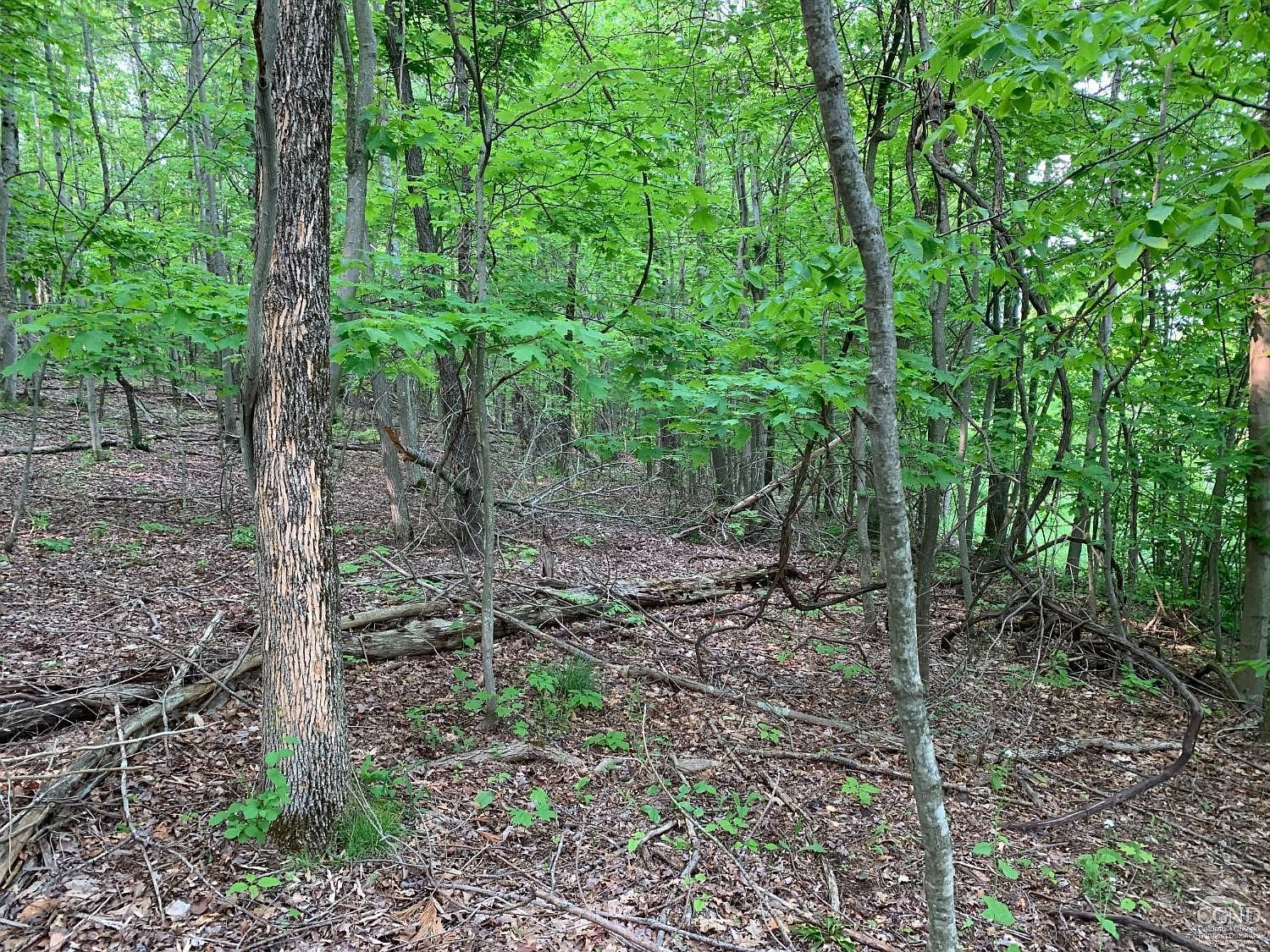 L4 County Route 5 Canaan, NY 12029  | Land/Lot