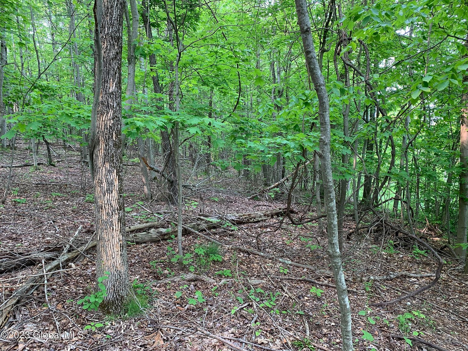 L4 County Rte #5 Canaan, NY 12029  | Land/Lot