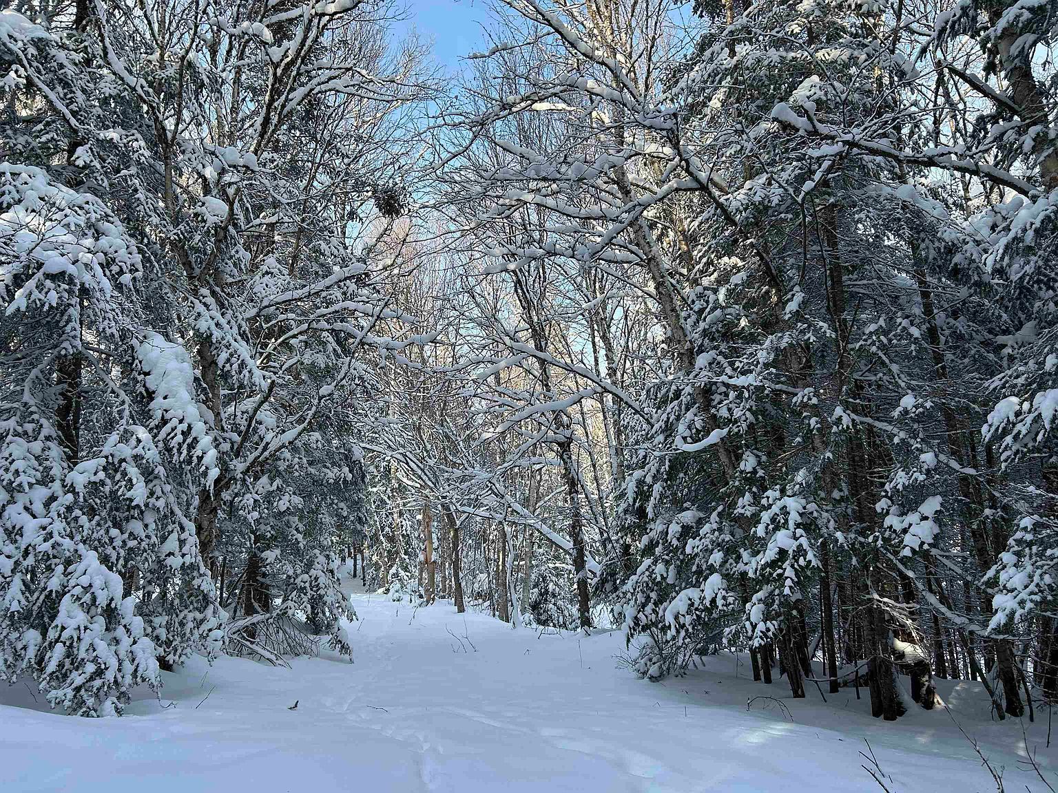 242 Noyes Rd Stewartstown, NH 03576 - Thumbnail 4