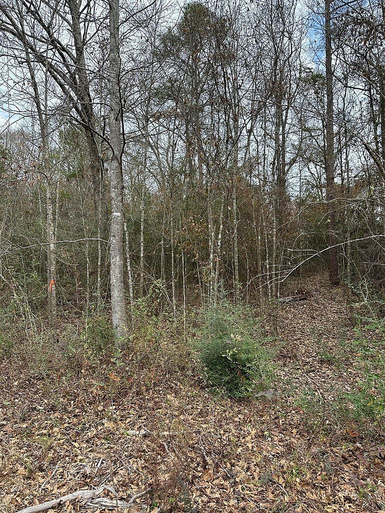 0 Barbara Ln Lumberton, MS 39455 - Thumbnail 4