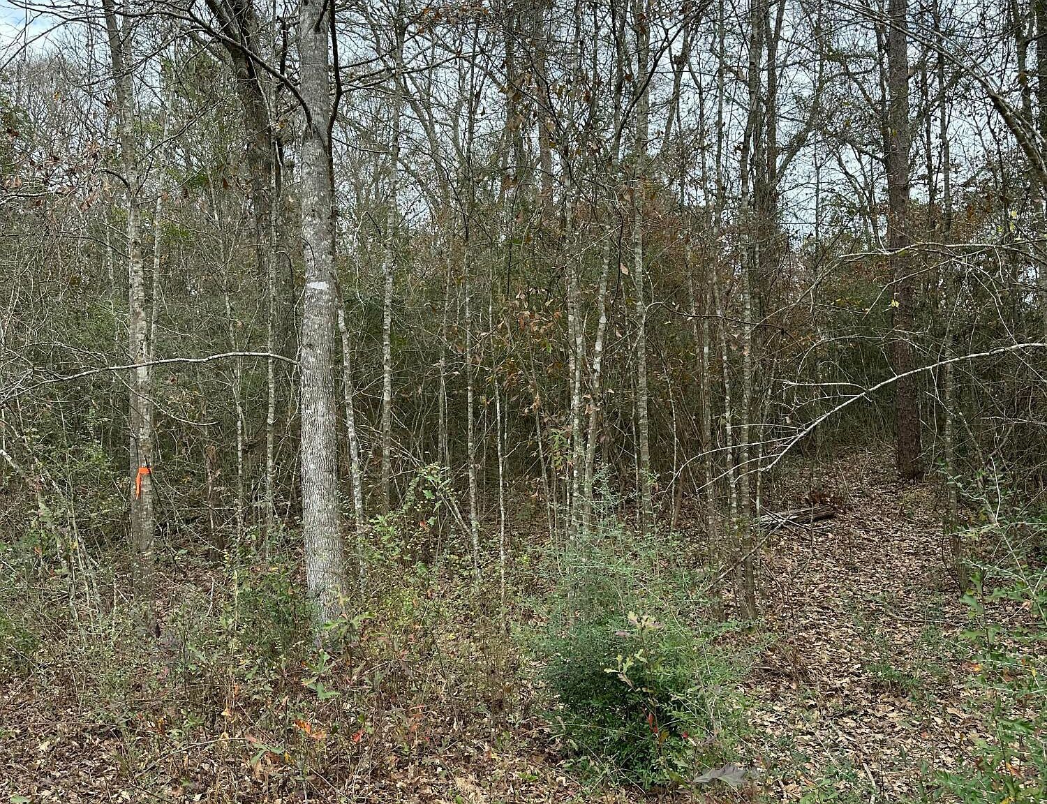 0 Barbara Ln S Lumberton, MS 39455 - Thumbnail 4