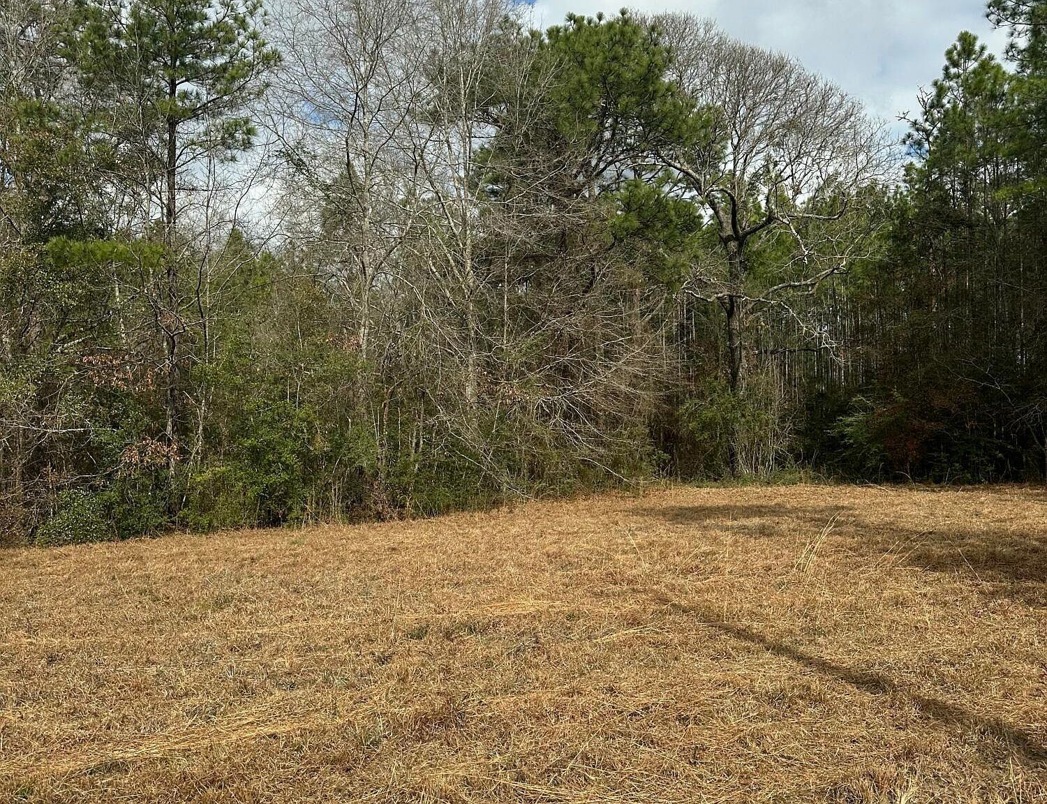 0 Bisbee Dr Lumberton, MS 39455 - Thumbnail 4