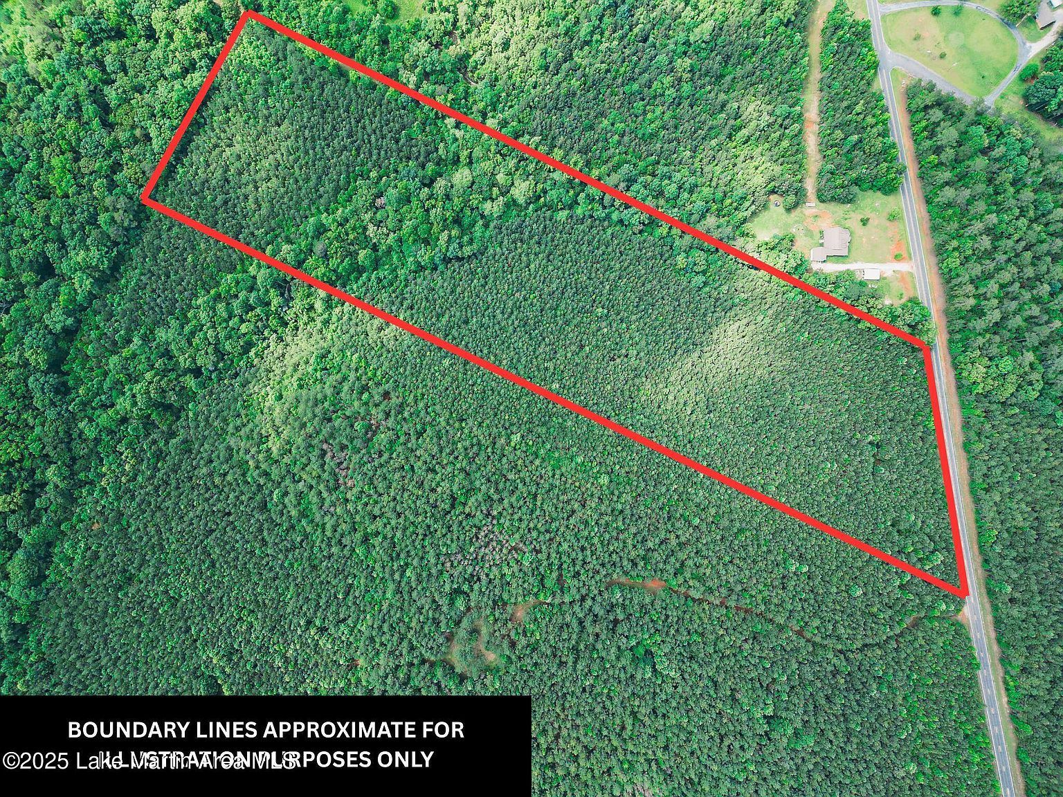 PARCEL 1 Highway 63 N Goodwater, AL 35072 - Thumbnail 4