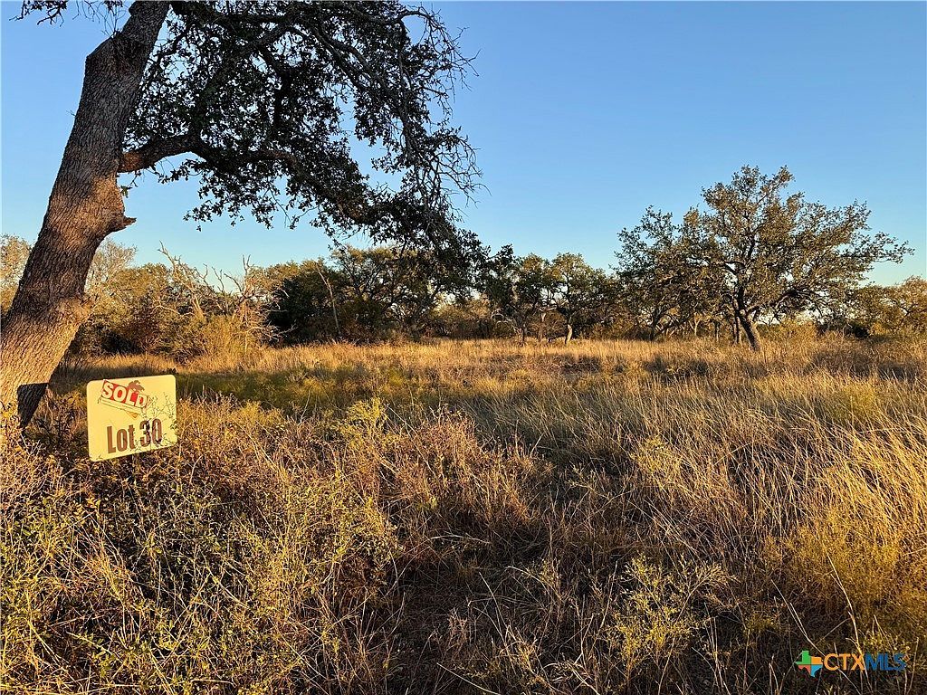 LOT 30 Buck Run San Saba, TX 76877 - Thumbnail 4