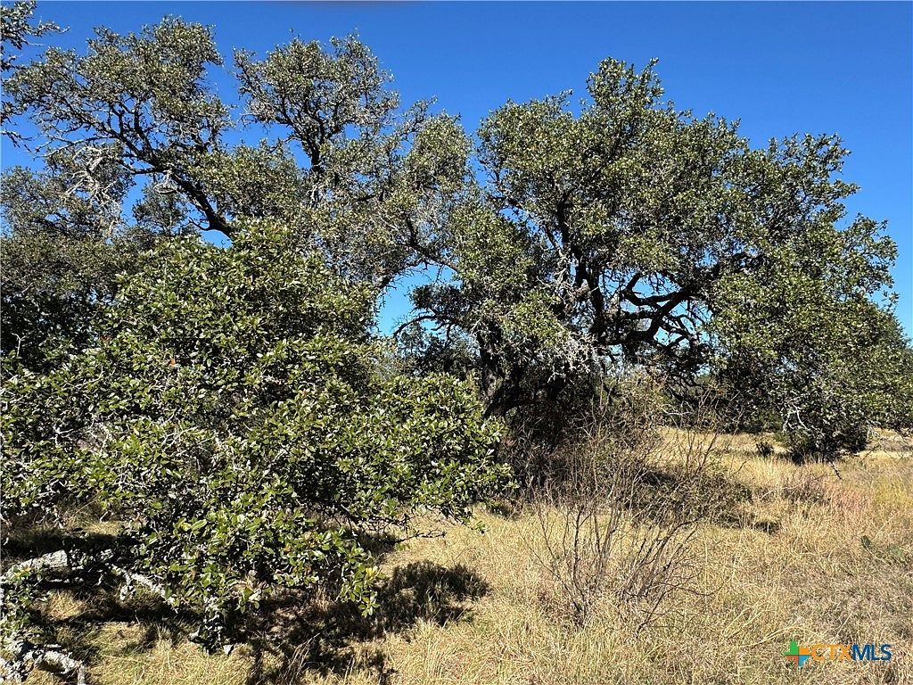 LOT 37 Buck Run San Saba, TX 76877 - Thumbnail 4