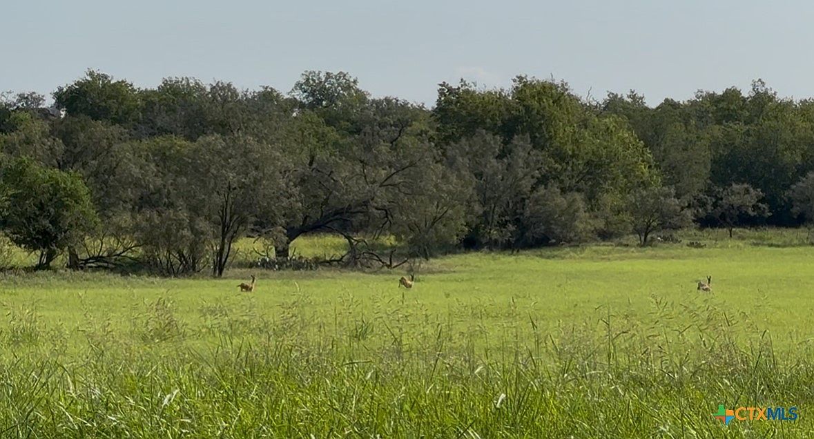 3927 County Road 3210 Kempner, TX 76539 - Thumbnail 4