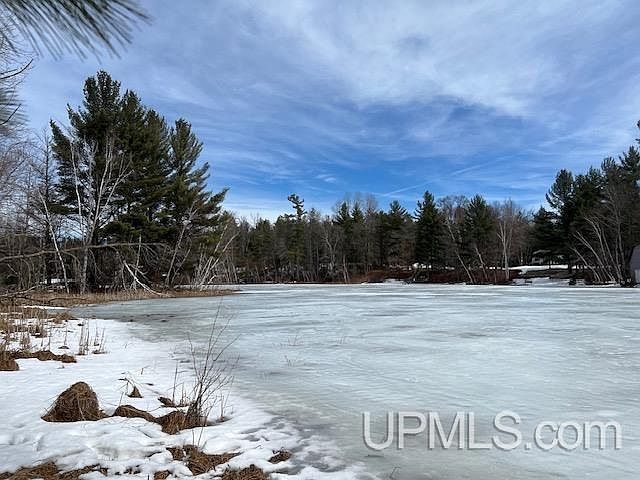 N16542 Dam Rd Pembine, WI 54156 - Thumbnail 4