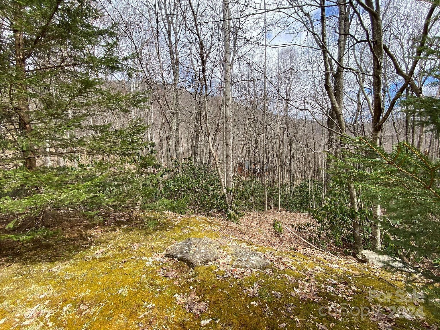 29 Wood Haven Ln #209 Black Mountain, NC 28711 - Thumbnail 4