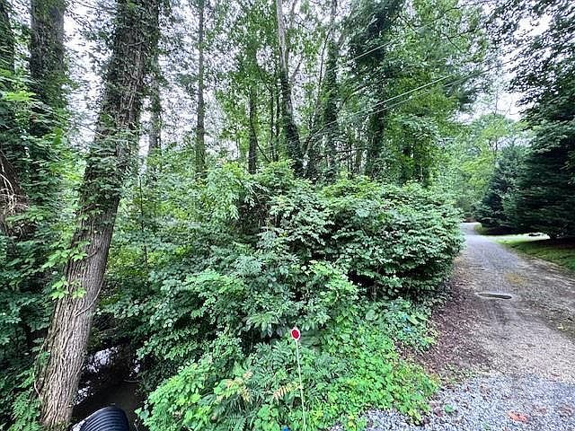 0 Glengary Dr #79 Flat Rock, NC 28731 - Thumbnail 4