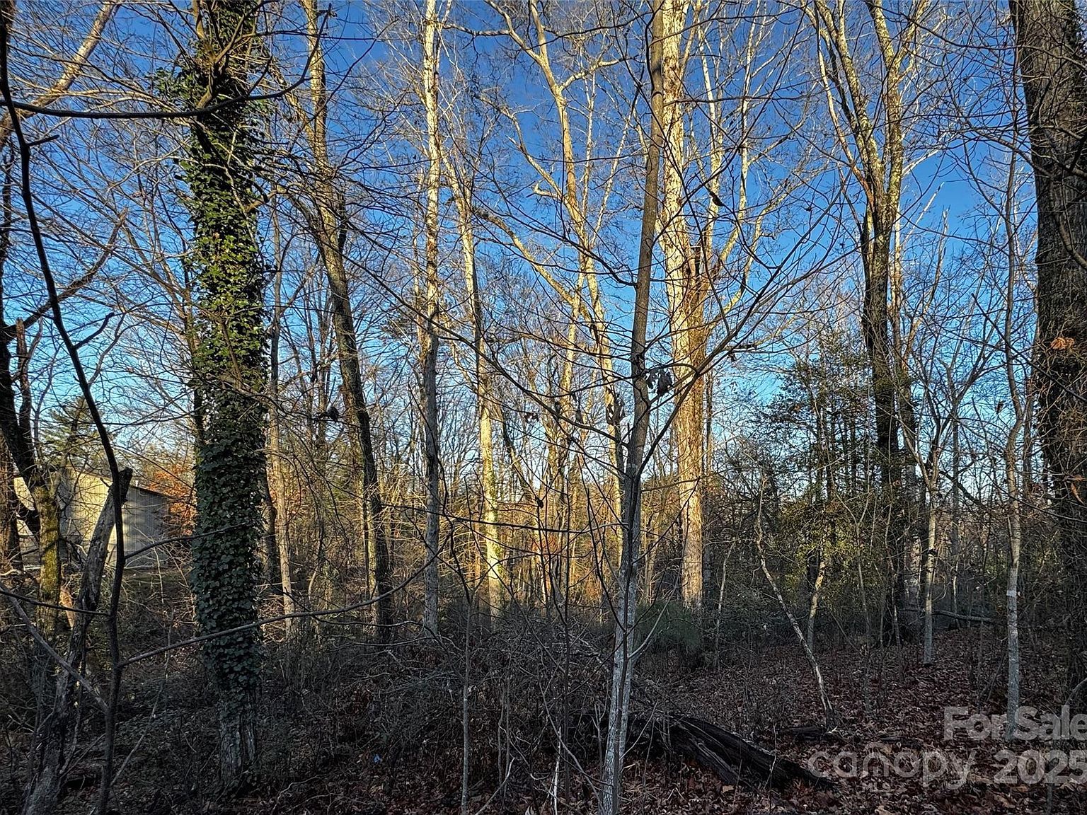 0 N Westview Ct #14 Fletcher, NC 28732 - Thumbnail 4