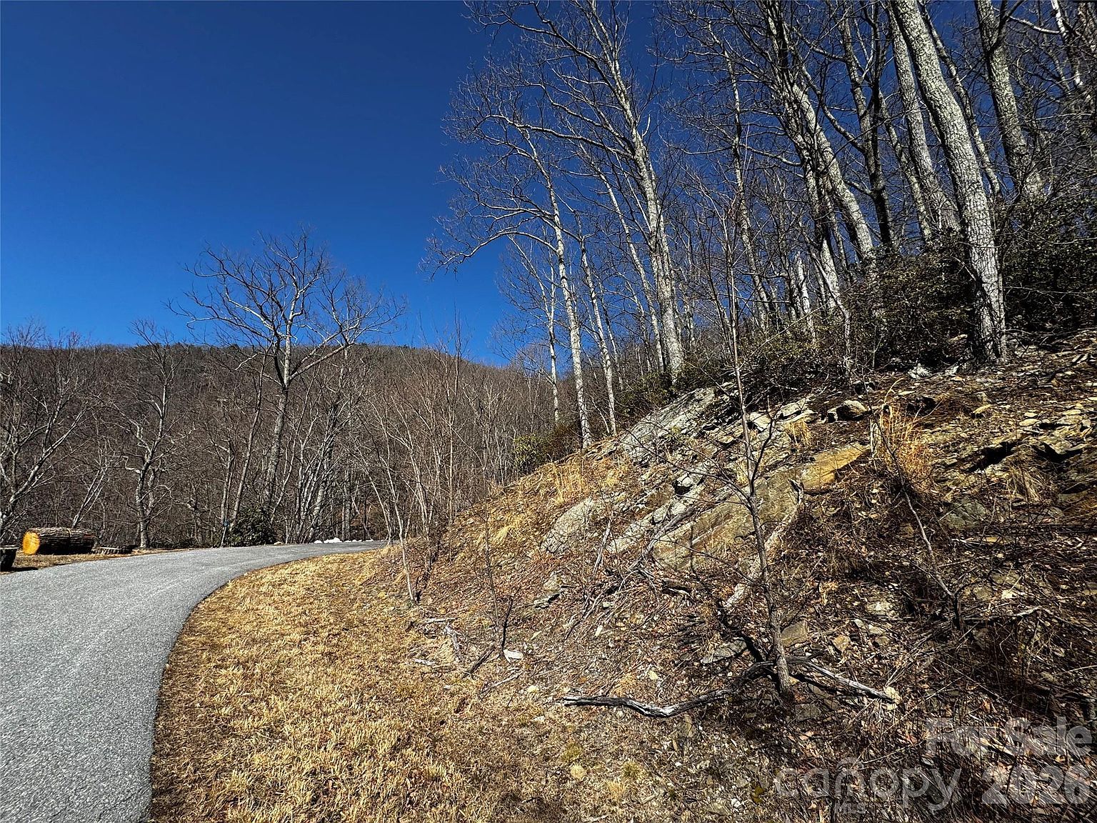 Tbd Acacia Ct #936 Black Mountain, NC 28711 - Thumbnail 4