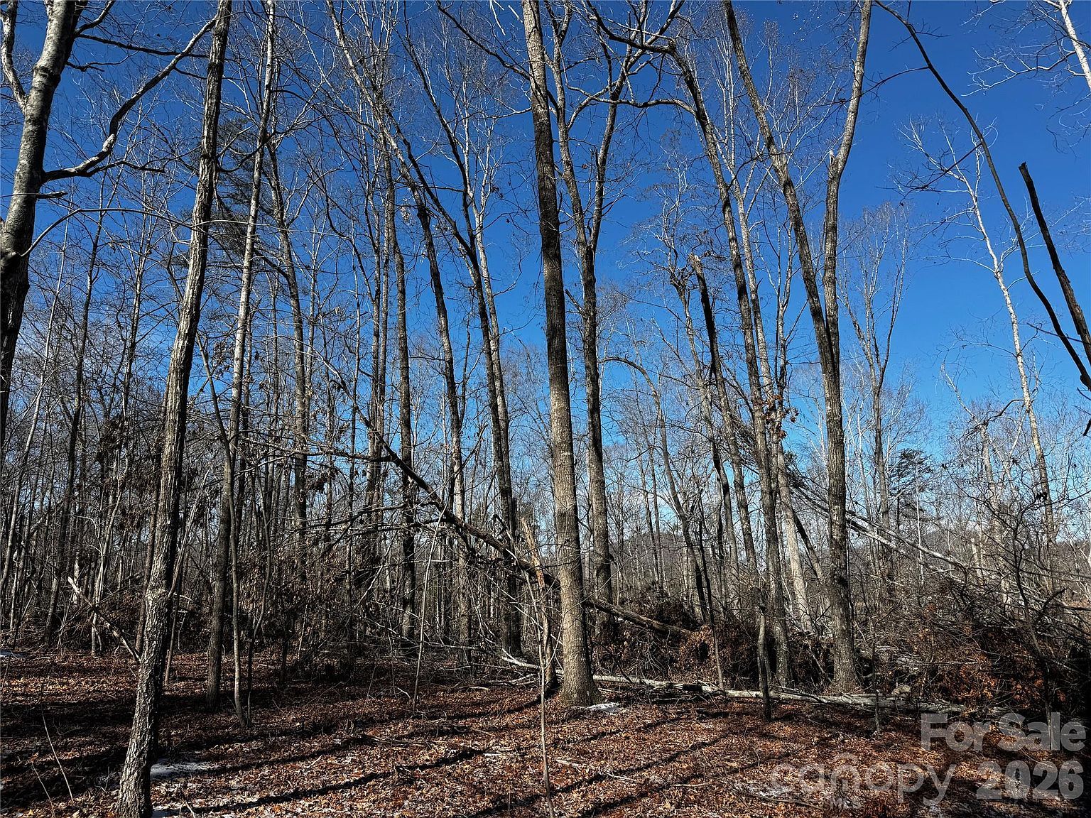 0 Painters Gap Rd Union Mills, NC 28167 - Thumbnail 4