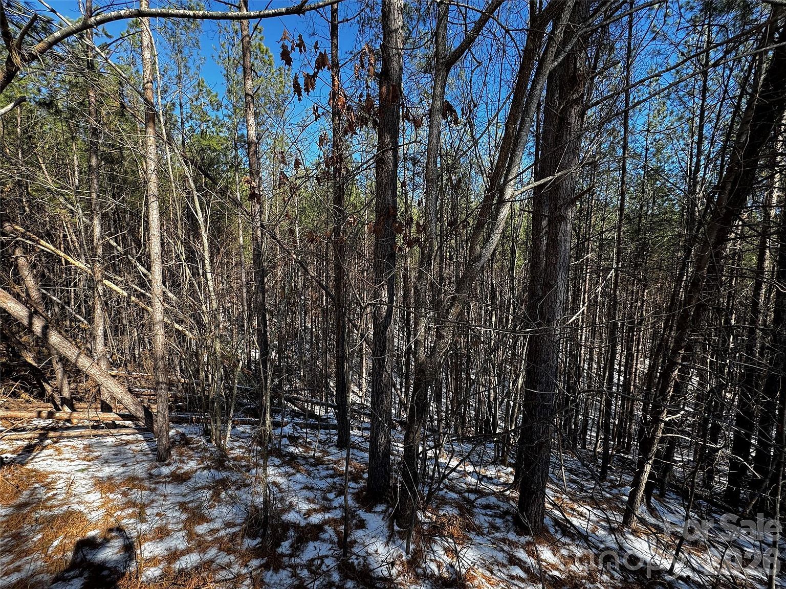 5 Geebees Way Mill Spring, NC 28756 - Thumbnail 4