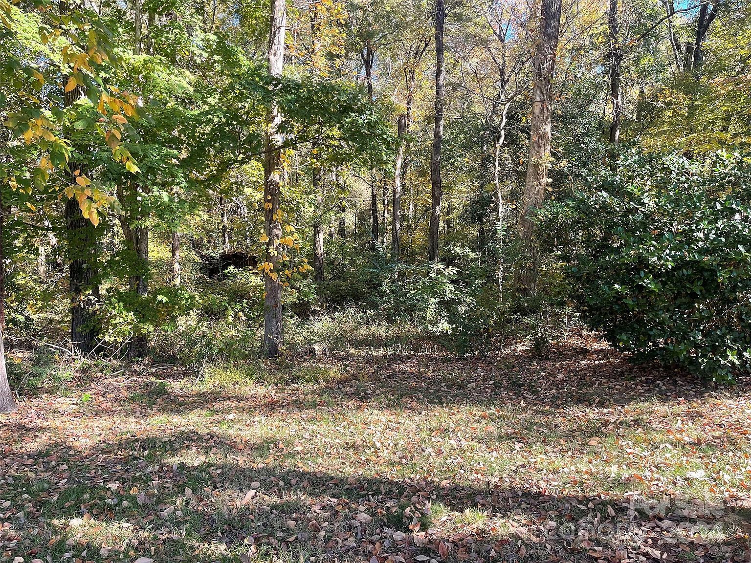 6330 Sunset Cr Charlotte, NC 28216 - Thumbnail 4