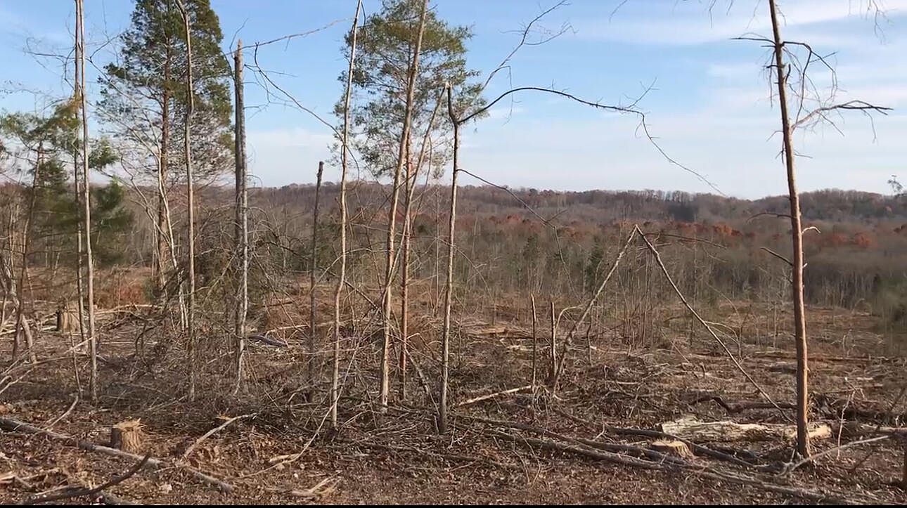 233 County Road 83 Athens, TN 37303 - Thumbnail 4