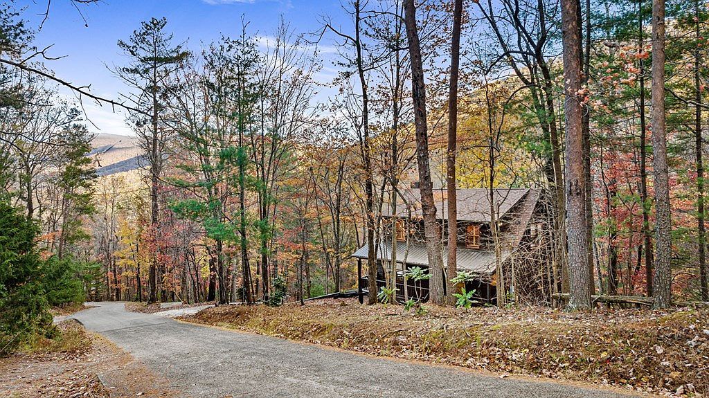 947 Mountain Oak Rd Ellijay, GA 30536 - Thumbnail 4