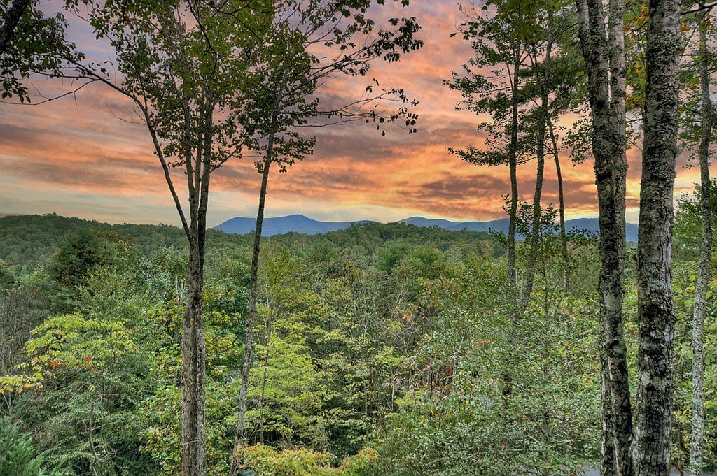 99 Dustin Dr S Ellijay, GA 30540 - Thumbnail 4