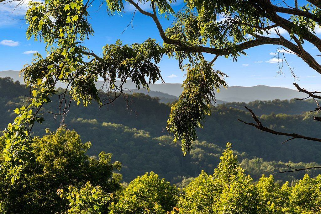 55 Grand Vista Dr Blue Ridge, GA 30513 - Thumbnail 4