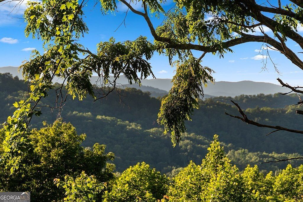 55 Grand View Rd Blue Ridge, GA 30513 - Thumbnail 4